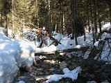 Salita da Spinelli di Valzurio alla Baita di Pagherola alta con e senza ciaspole il 15 febbraio 09 - FOTOGALLERY